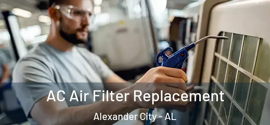  AC Air Filter Replacement Alexander City - AL