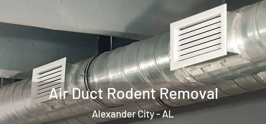  Air Duct Rodent Removal Alexander City - AL