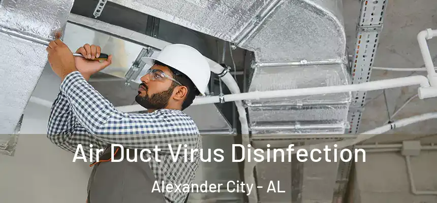  Air Duct Virus Disinfection Alexander City - AL
