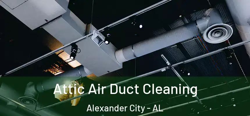  Attic Air Duct Cleaning Alexander City - AL