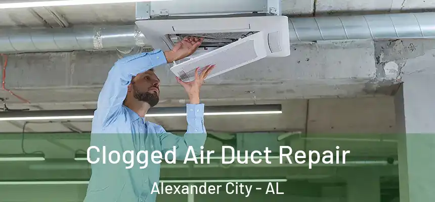  Clogged Air Duct Repair Alexander City - AL