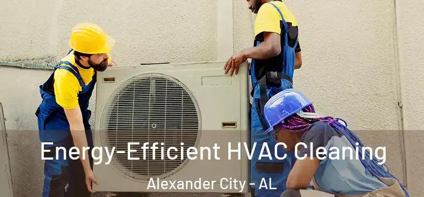  Energy-Efficient HVAC Cleaning Alexander City - AL