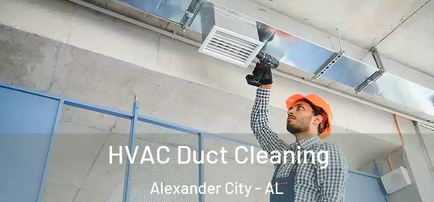  HVAC Duct Cleaning Alexander City - AL