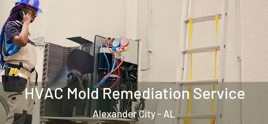  HVAC Mold Remediation Service Alexander City - AL