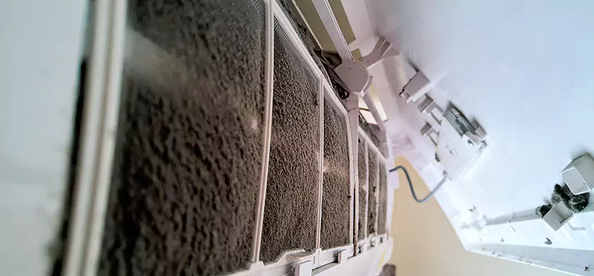 Preventive Air Duct Bacteria Removal in Alexander City