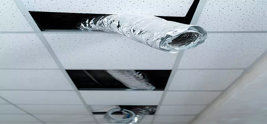 Affordable HVAC Sanitizing After Pest Removal in Alexander City