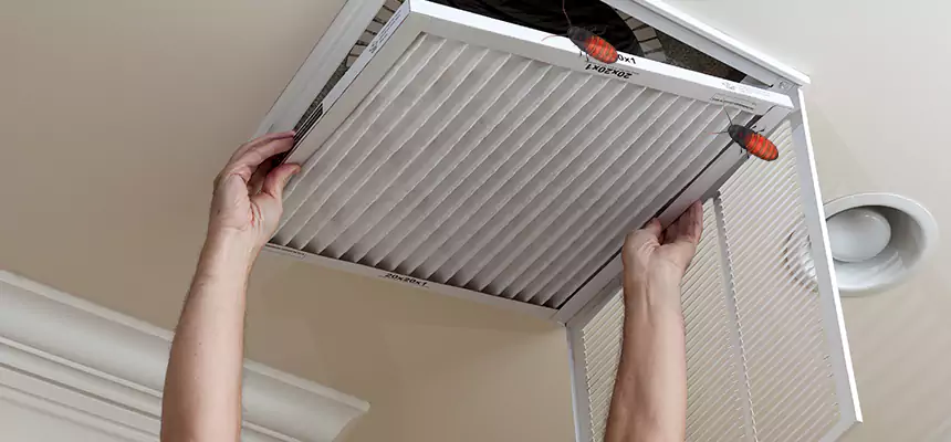 Our Insect Removal from Air Ducts Services in Alexander City, AL