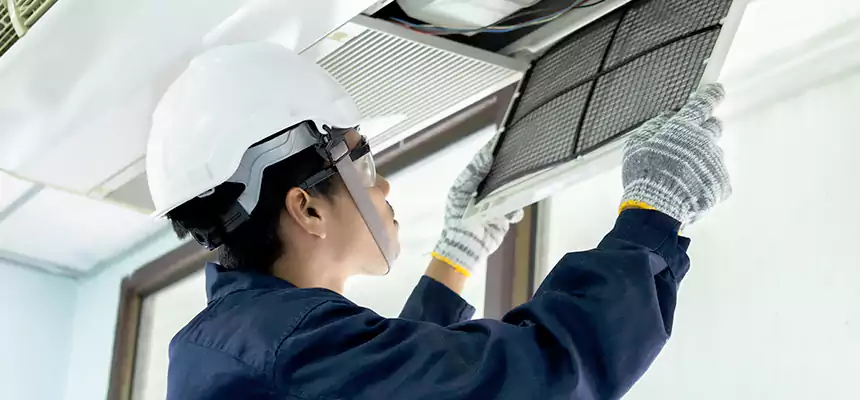 Our Mold & Mildew Removal from Air Ducts Services in Alexander City, AL