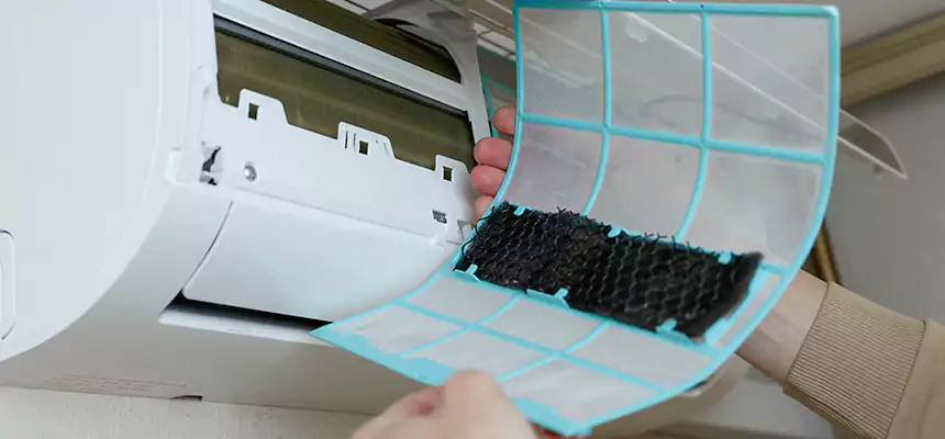 Gentle Ductwork Odor-Control Pet Dander Duct Cleaning in Alexander City, AL