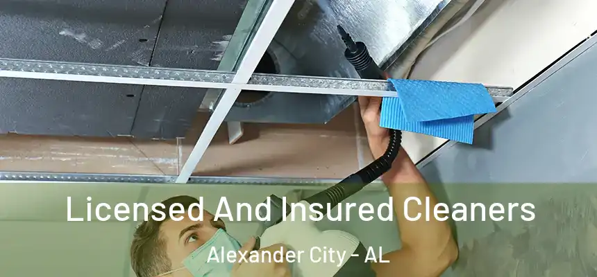 Licensed And Insured Cleaners Alexander City - AL