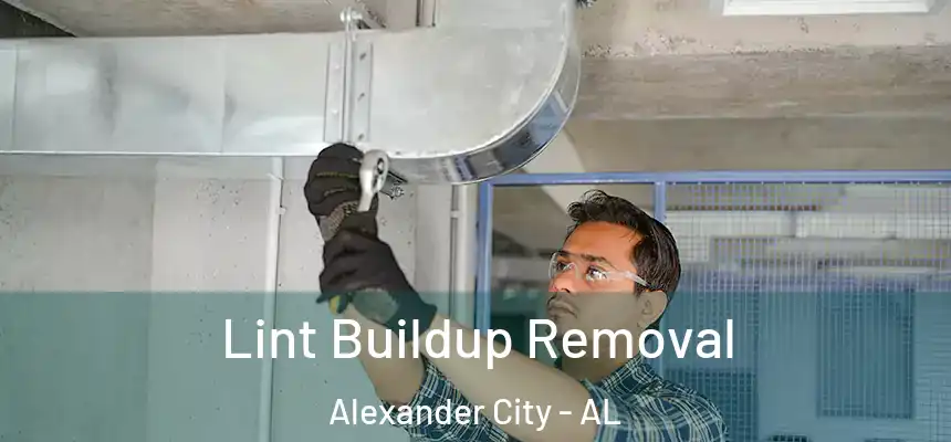  Lint Buildup Removal Alexander City - AL