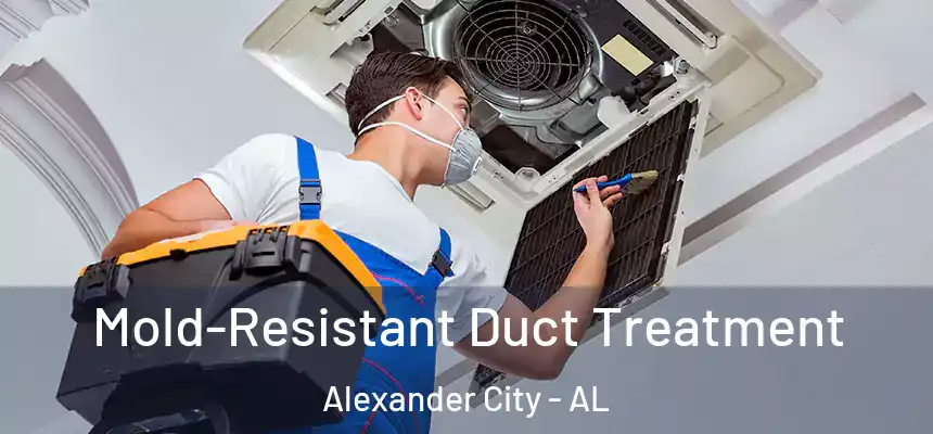  Mold-Resistant Duct Treatment Alexander City - AL