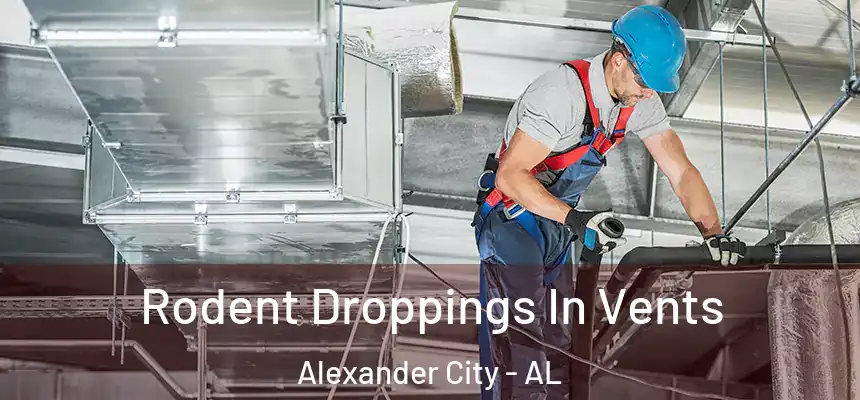  Rodent Droppings In Vents Alexander City - AL