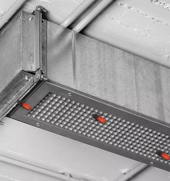 About Air Duct Cockroach Removal in Alexander City, AL