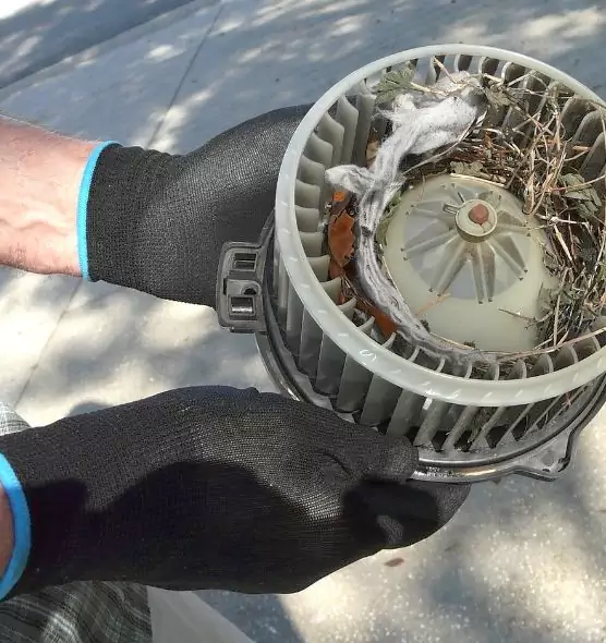 About Air Duct Rat Removal in Alexander City, AL