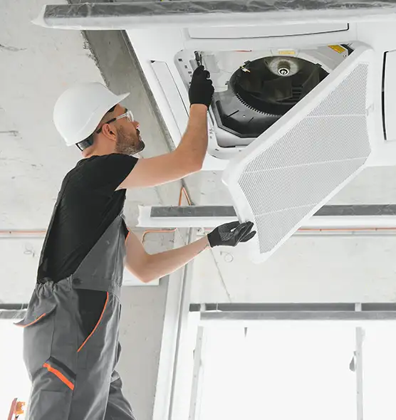 About Air Duct Rodent Removal in Alexander City, AL