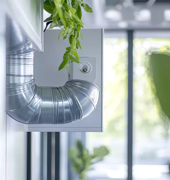 Professional Eco-Safe Dryer Vent Cleaning in Alexander City, AL