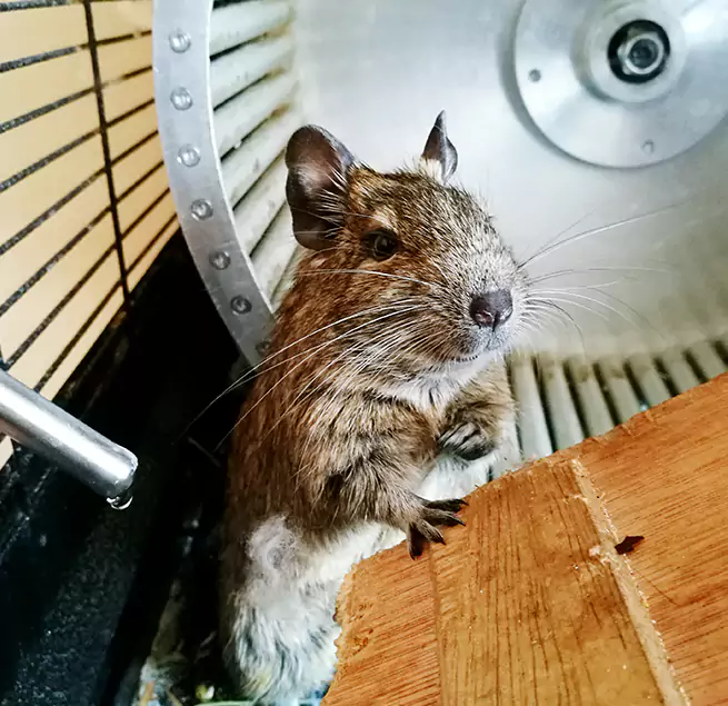 Why Homeowners & Businesses Trust Us Alexander City, AL