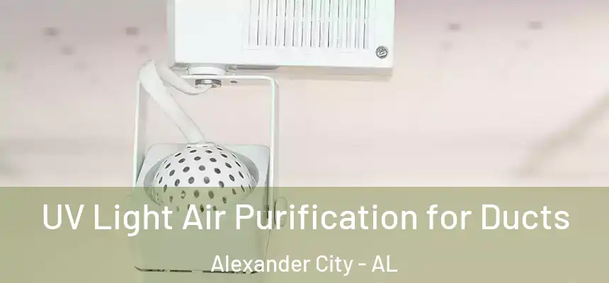  UV Light Air Purification for Ducts Alexander City - AL